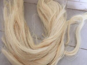 Sisal Fiber Short Fiber Tow 1