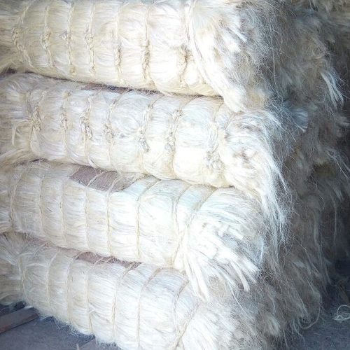 Sisal Fiber SSUG Grade - Image 3